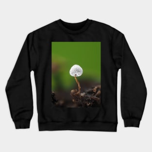 Slime mold under the microscope Crewneck Sweatshirt